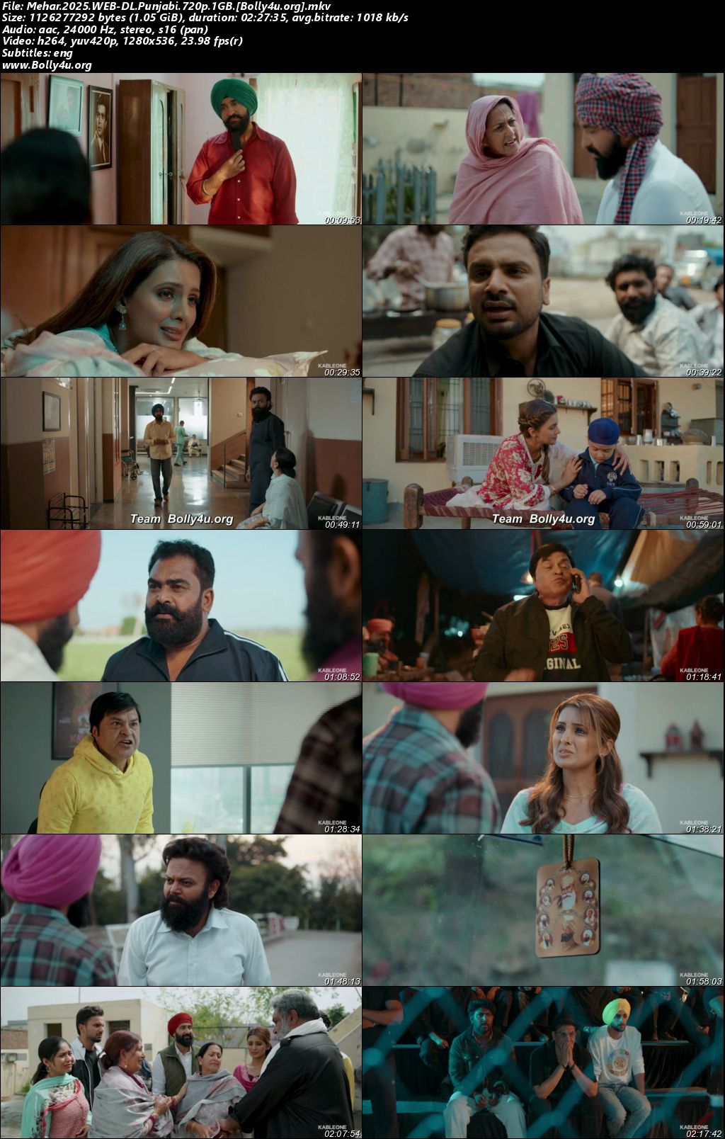 Mehar 2025 WEB-DL Punjabi ORG Movie 1080p - 720p - 480p