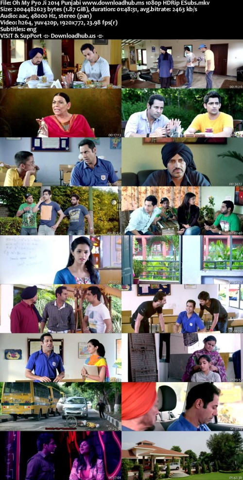 Oh-My-Pyo-Ji-2014-Punjabi-www.downloadhub.ms-1080p-HDRip-ESubs_s.jpg