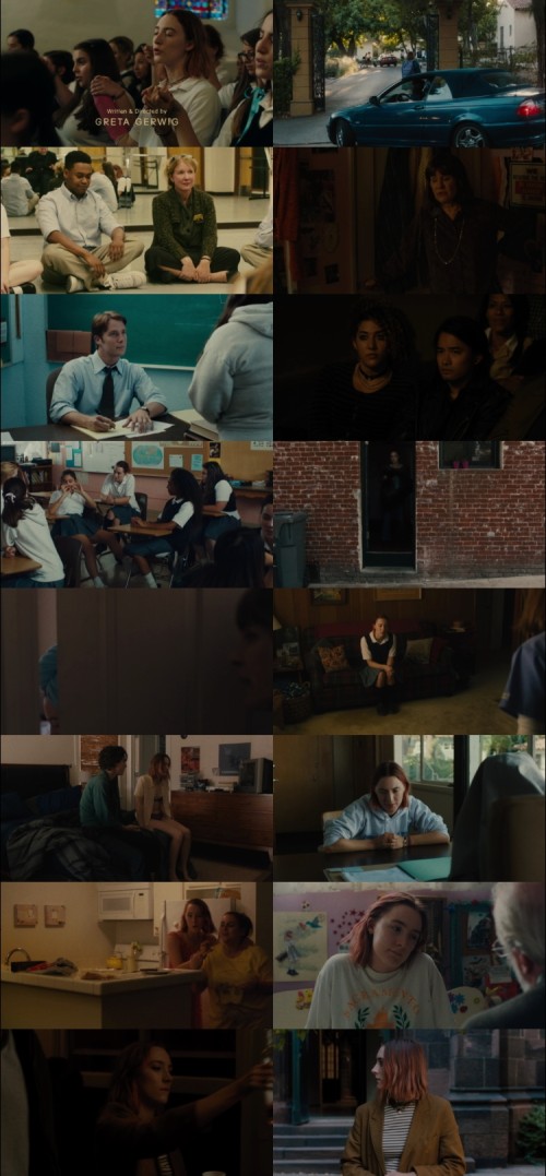Lady.Bird.2017.1080p.BluRay.Hindi.English.DD5.1.x264.ESubs_s.jpg