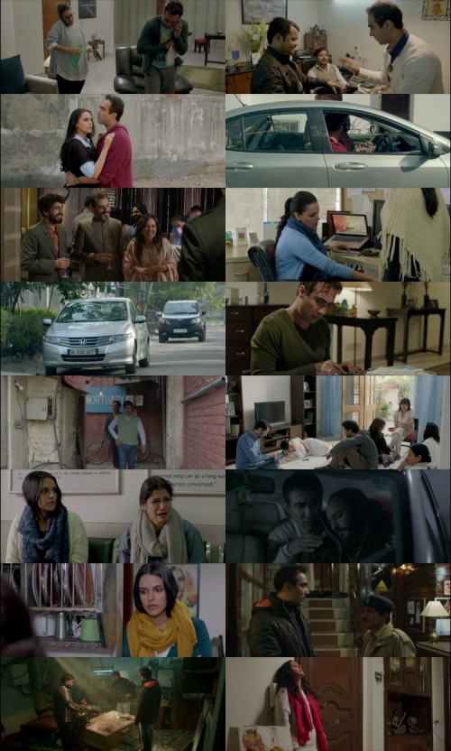 Moh.Maya.Money.2016.1080p.Web-DL.Hindi.DD5.1.x264.ESubs_s.jpg