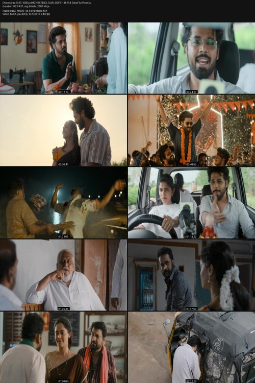 Dhandoraa.2025.1080p.AMZN.WEB-DL.DUAL.DDP5.1.H.264-ExtraFlix.Pw.jpg