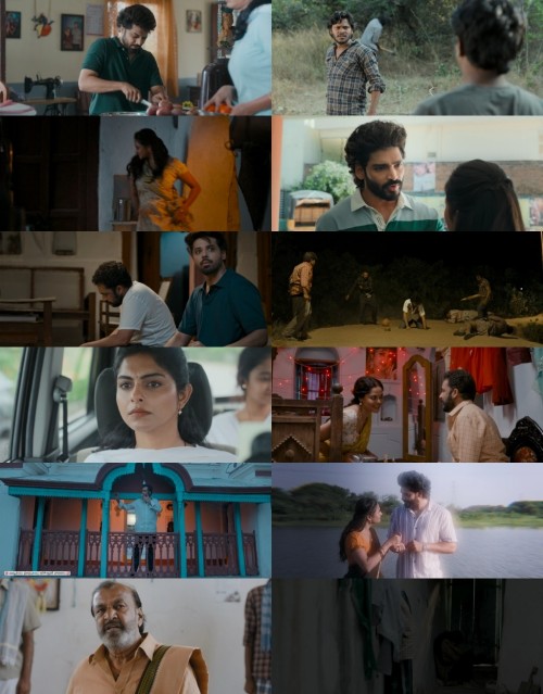www.1Full4Movies.com---Dhandoraa.2025.1080p.WEB-HDRip.Hindi.DDP5.1.MULTi.x264.ESub_s.jpg