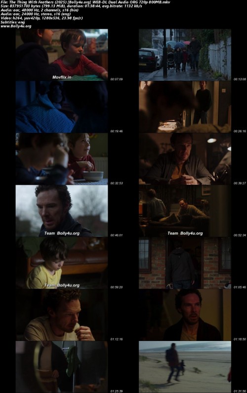 The-Thing-With-Feathers-2025-Bolly4u.org-WEB-DL-Dual-Audio-ORG-720p-800MB.jpg