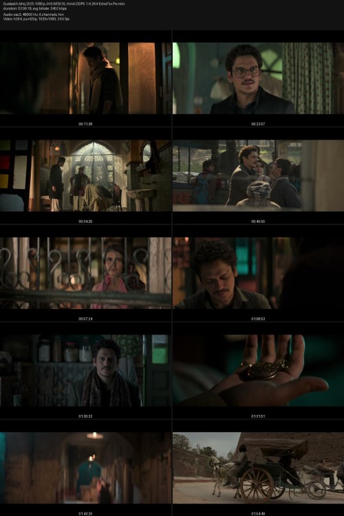 Gustaakh.Ishq.2025.1080p.JHS.WEB-DL.Hindi.DDP5.1.H.264-ExtraFlix.Pw.jpg