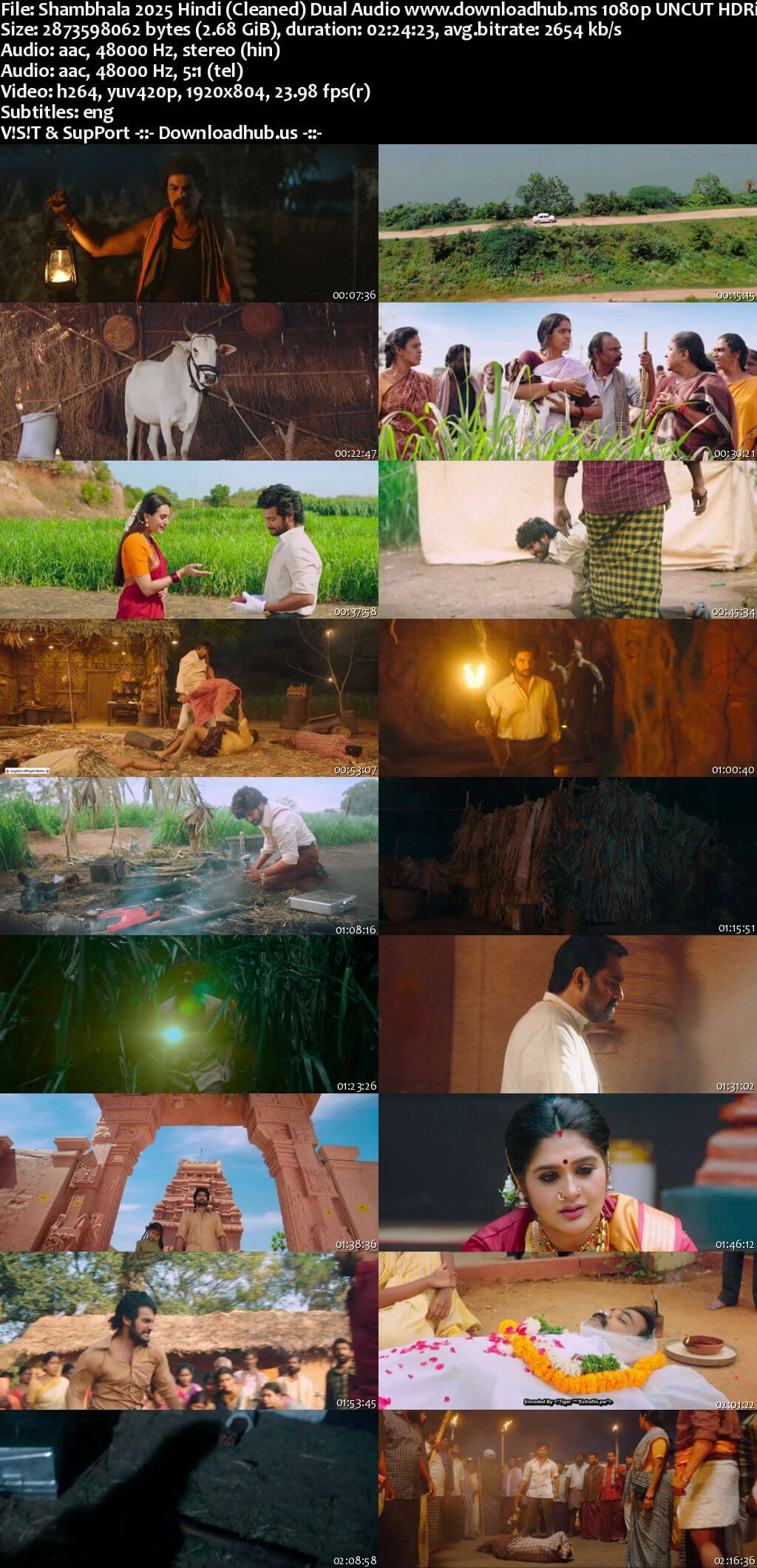 Shambhala 2025 Hindi (Cleaned) Dual Audio Movie DD2.0 4k 1080p 720p 480p UNCUT HDRip ESubs x264 HEVC