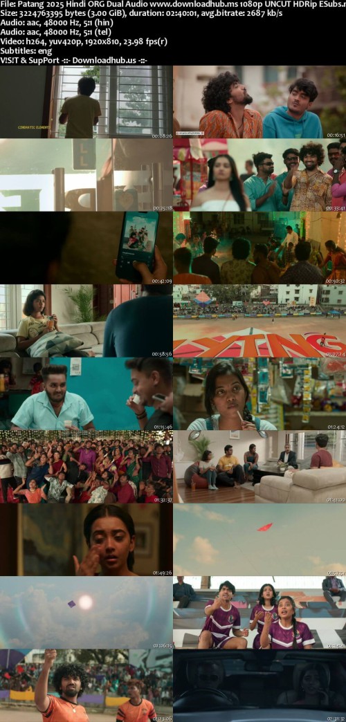 Patang-2025-Hindi-ORG-Dual-Audio-www.downloadhub.ms-1080p-UNCUT-HDRip-ESubs_s.jpg