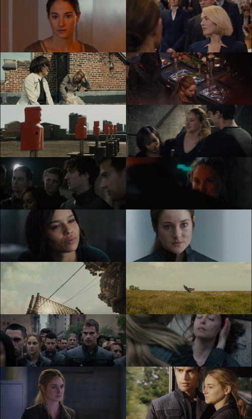 Divergent.2014.1080p.BluRay.Hindi.English.DD5.1.x264.ESubs_s.jpg