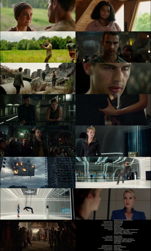 Insurgent.2015.1080p.BluRay.Hindi.English.DD5.1.x264.ESubs_s.jpg