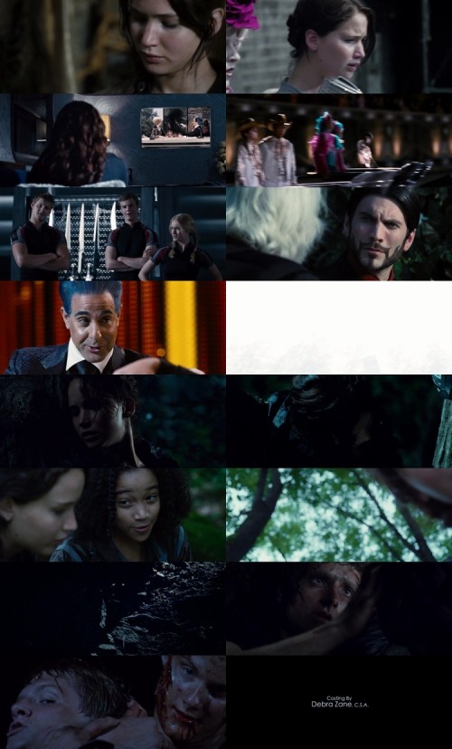 The.Hunger.Games.2012.1080p.BluRay.Hindi.English.DD5.1.x264.ESubs_sb5d68c9988155826.jpg