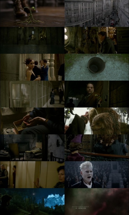 Fantastic.Beasts.The.Crimes.of.Grindelwald.2018.1080p.BluRay.Hindi.English.DD5.1.x264.ESubs.Untouch_s.jpg