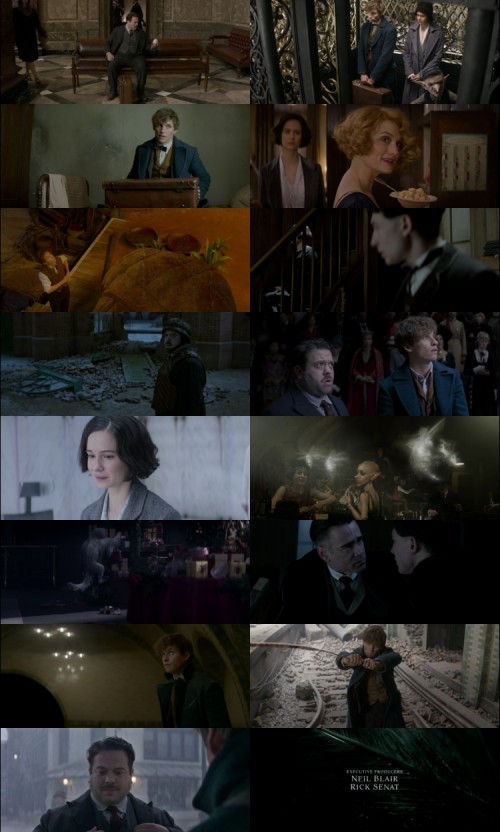 Fantastic.Beasts.and.Where.to.Find.Them.2016.1080p.BluRay.Hindi.English.DD5.1.x264.ESubs.Untouch_s.jpg