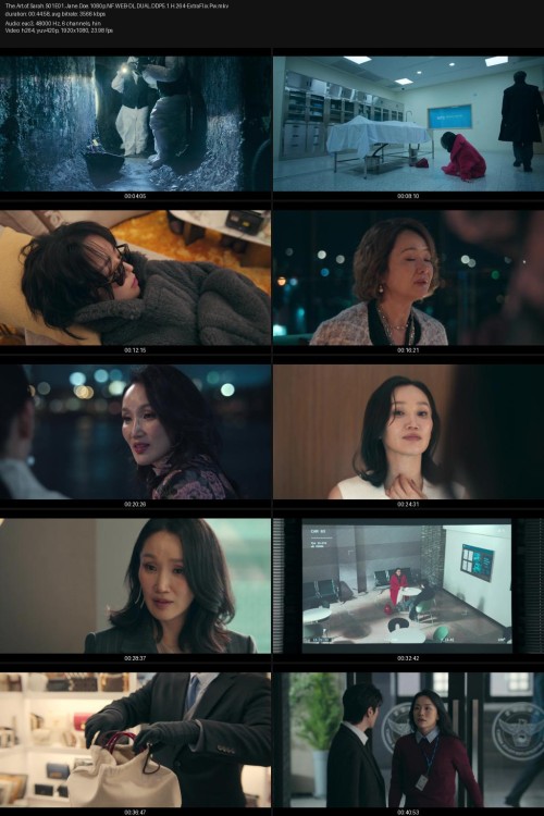 The.Art.of.Sarah.S01E01.Jane.Doe.1080p.NF.WEB-DL.DUAL.DDP5.1.H.264-ExtraFlix.Pw.jpg