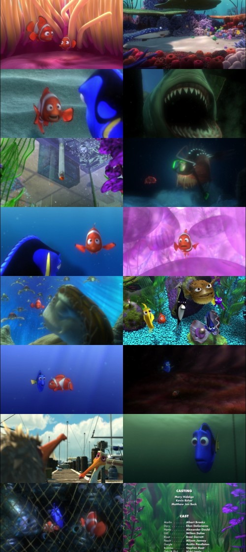 Finding.Nemo.2003.1080p.BluRay.Hindi.English.DD5.1.x264.ESubs_s.jpg