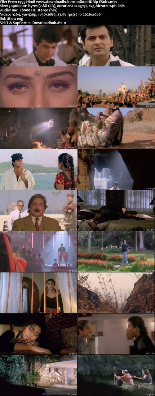 Prem-1995-Hindi-www.downloadhub.ms-1080p-HDRip-ESubs_s.jpg