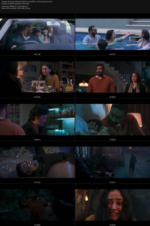 Shaitaan.2024.HQ.1080p.NF.WEB-DL.Hindi.DDP5.1.H.264-ExtraFlix.Pw.jpg