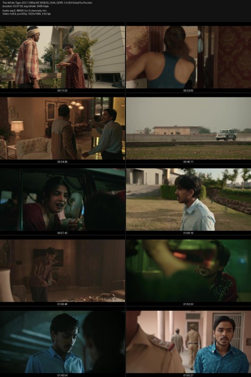 The.White.Tiger.2021.1080p.NF.WEB-DL.DUAL.DDP5.1.H.264-ExtraFlix.Pw.jpg