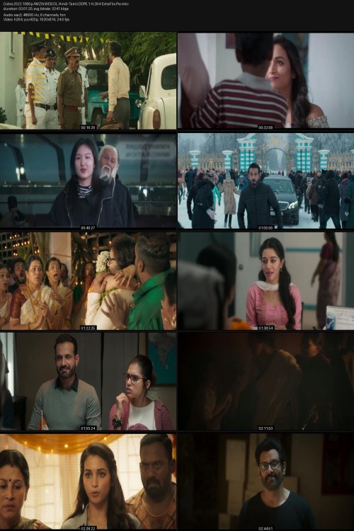 Cobra.2022.1080p.AMZN.WEB-DL.Hindi-Tamil.DDP5.1.H.264-ExtraFlix.Pw.jpg