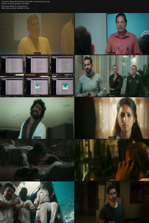 Cobra.2025.1080p.AMZN.WEB-DL.Hindi.DDP5.1.H.264-ExtraFlix.Pw.jpg