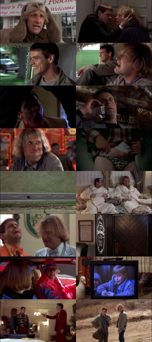 Dumb.and.Dumber.1994.1080p.BluRay.Hindi.English.DD5.1.x264.ESubs_s.jpg