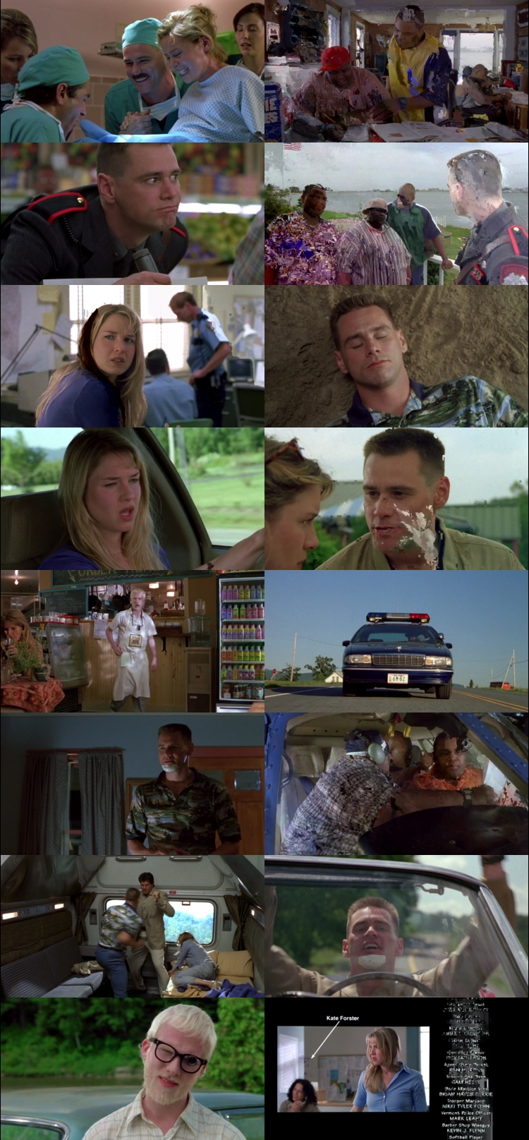 Me, Myself & Irene 2000 Hindi ORG Dual Audio Movie DD2.0 1080p 720p 480p BluRay ESubs x264