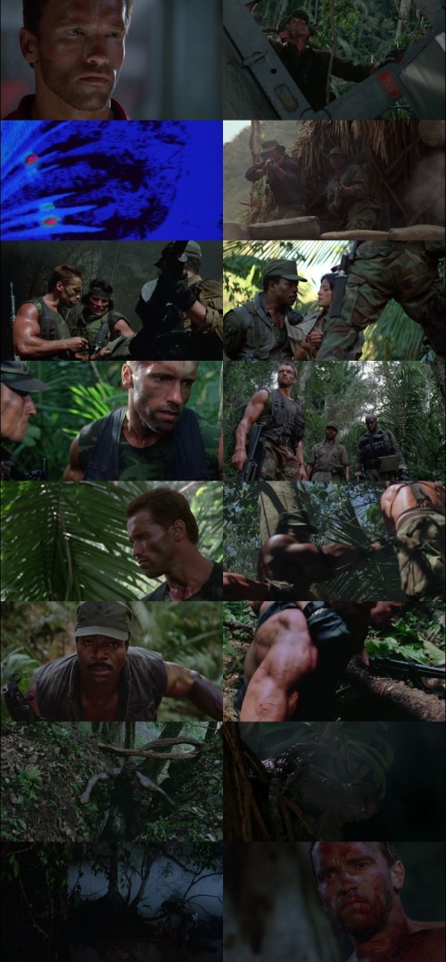 Predator.1987.1080p.BluRay.Hindi.English.DD2.0.x264.ESubs.Untouch_s.jpg