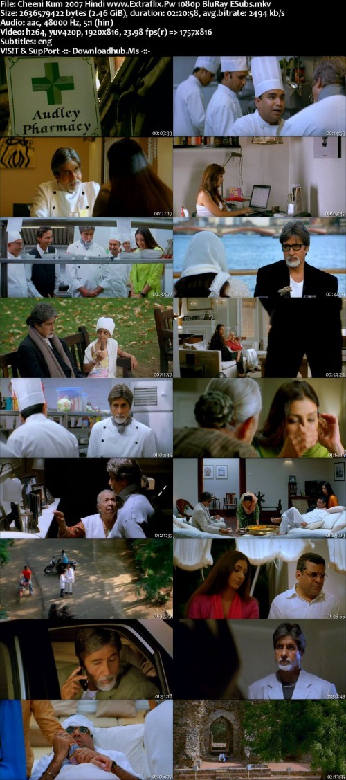 Cheeni-Kum-2007-Hindi-www.Extraflix.Pw-1080p-BluRay-ESubs_s.jpg