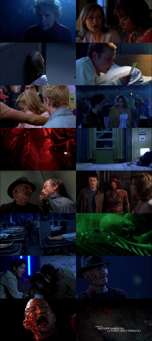Freddy.vs.Jason.2003.1080p.Web-DL.Hindi.English.DD2.0.x264.ESubs_s.jpg