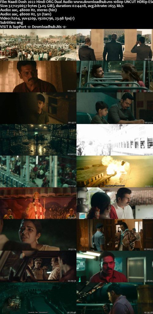Naadi-Dosh-2022-Hindi-ORG-Dual-Audio-www.downloadhub.ms-1080p-UNCUT-HDRip-ESubs_s.jpg