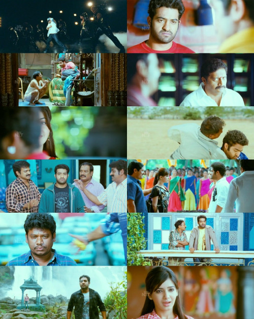 www.1Full4Movies.org---Brundavanam.2010.1080p.WEB-HDRip.Hindi.DDP2.0-Telugu.DDP5.1.x264_s.jpg