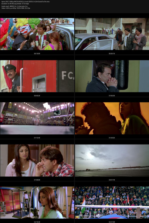 Apne.2007.1080p.AMZN.WEB-DL.Hindi.DDP2.0.H.264-ExtraFlix.Pw.jpg
