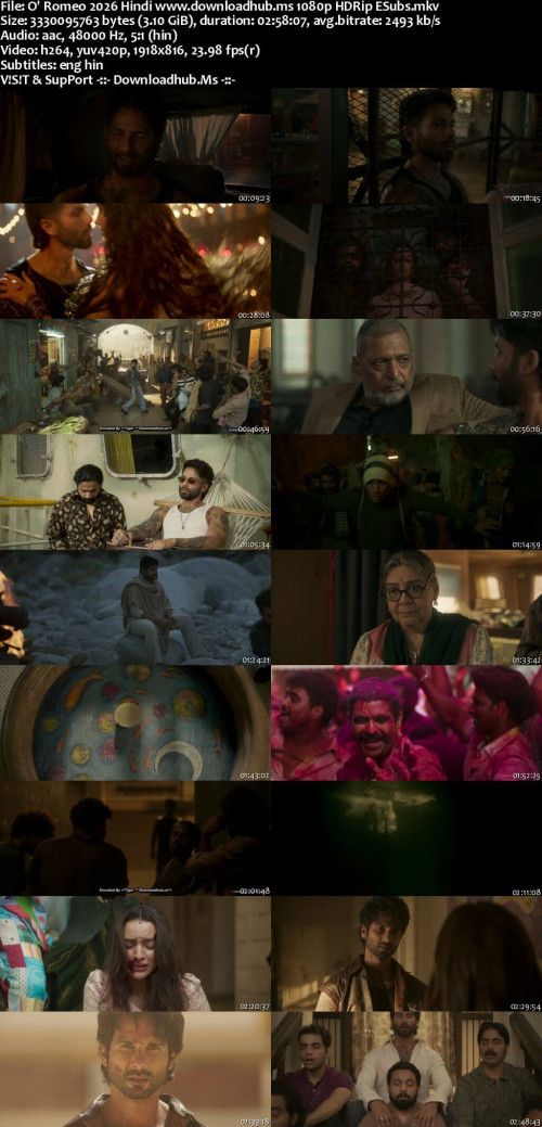 O-Romeo-2026-Hindi-www.downloadhub.ms-1080p-HDRip-ESubs_s.jpg