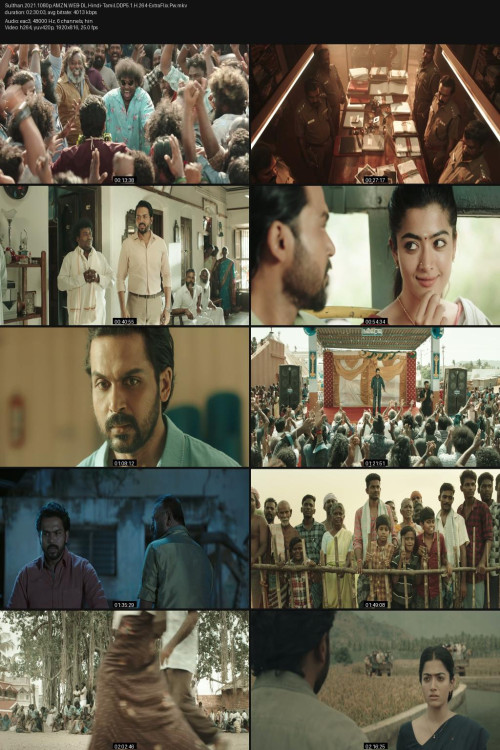 Sulthan.2021.1080p.AMZN.WEB-DL.Hindi-Tamil.DDP5.1.H.264-ExtraFlix.Pw.jpg