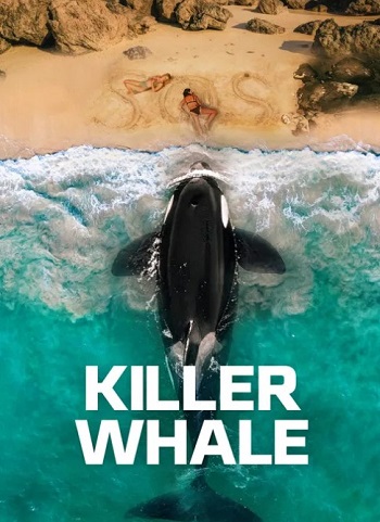 Killer-Whale-2026.jpg