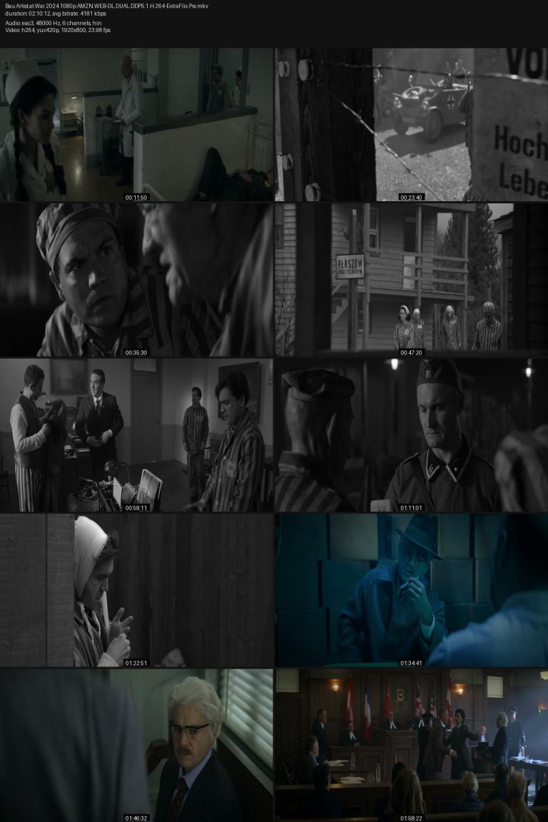Bau.Artist.at.War.2024.1080p.AMZN.WEB-DL.DUAL.DDP5.1.H.264-ExtraFlix.Pw.jpg