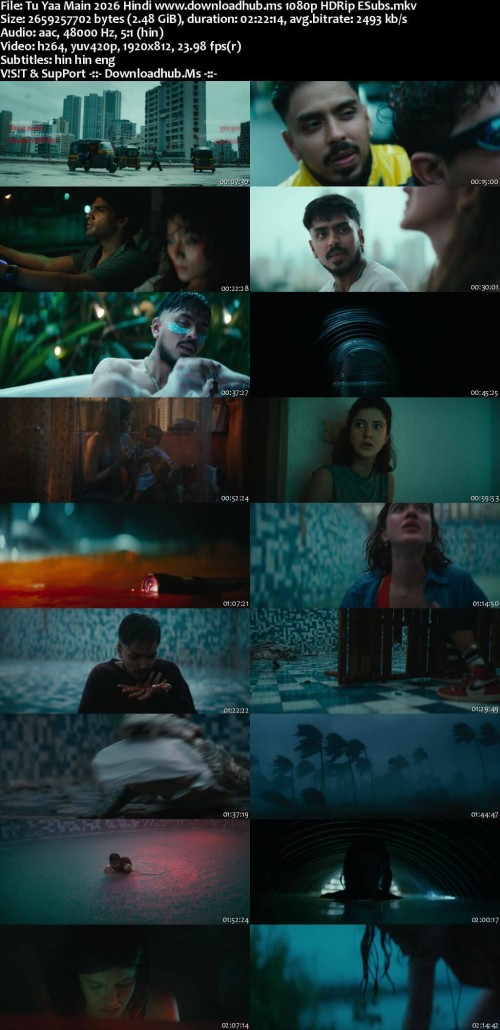 Tu-Yaa-Main-2026-Hindi-www.downloadhub.ms-1080p-HDRip-ESubs_s.jpg