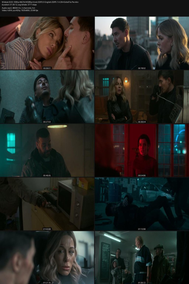 Wildcat.2025.1080p.AMZN.WEBRip.Hindi.DDP2.0-English.DDP5.1.H.264-ExtraFlix.Pw.jpg