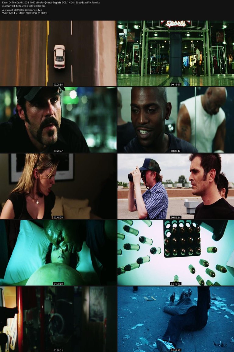 Dawn-Of-The-Dead-2004-1080p-BluRay-Hindi-English-DD5.1-H.264-ESub-ExtraFlix.Pw.jpg