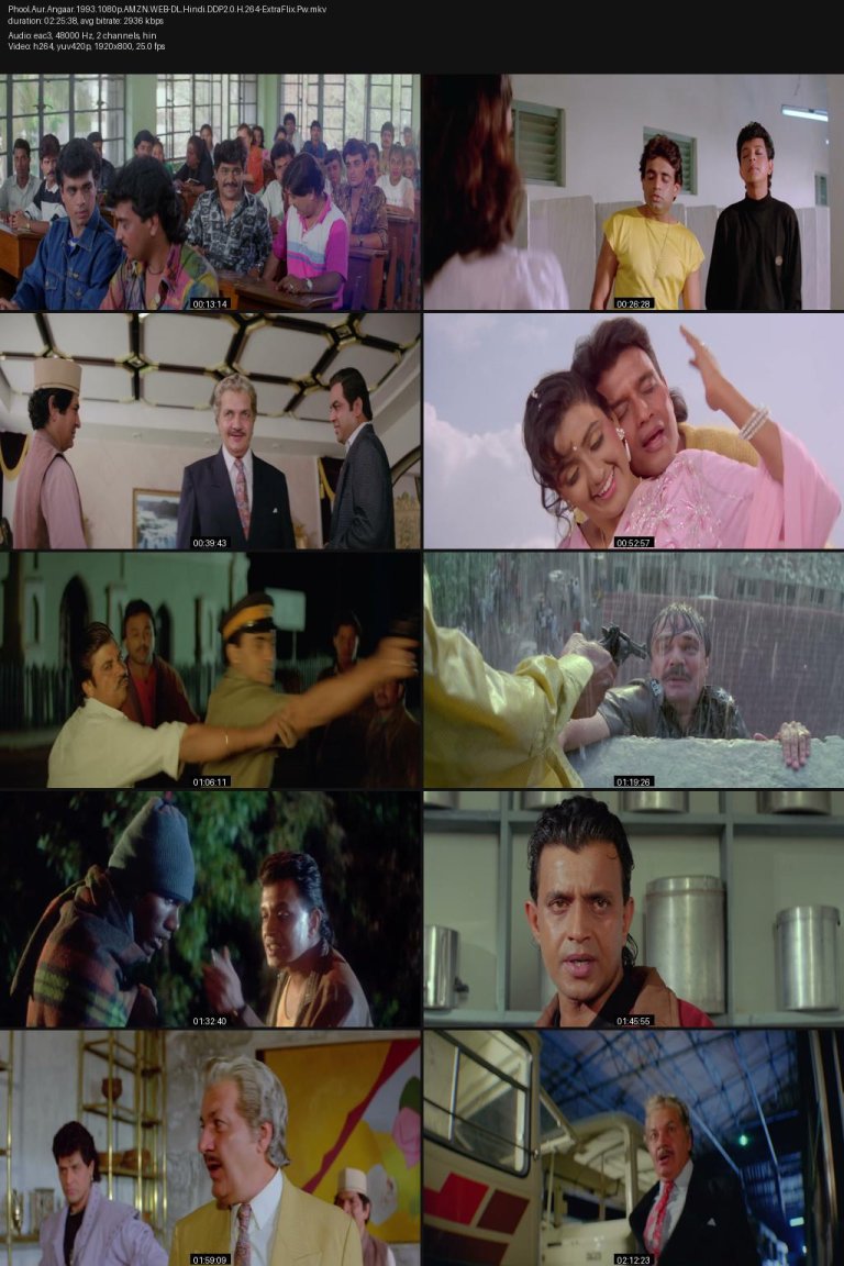 Phool.Aur.Angaar.1993.1080p.AMZN.WEB-DL.Hindi.DDP2.0.H.264-ExtraFlix.Pw.jpg
