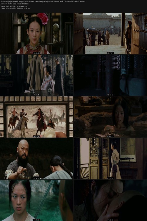 Crouching-Tiger-Hidden-Dragon-2000-REMASTERED-1080p-BluRay-Hindi-Chinese-DDP5.1-H.264-ESubs-ExtraFlix.Pw.jpg
