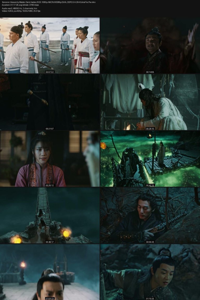Sorcerer.Heavenly.Master.Dark.Hades.2025.1080p.AMZN.WEBRip.DUAL.DDP2.0.H.264-ExtraFlix.Pw.jpg