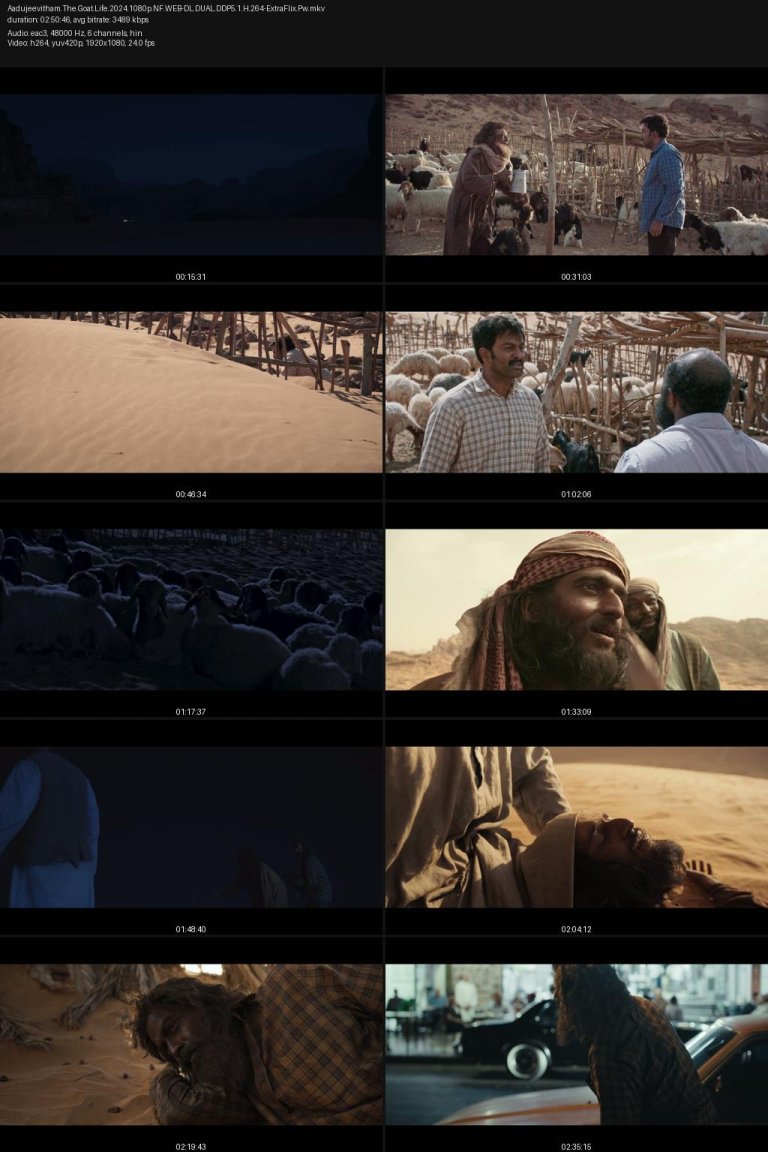 Aadujeevitham.The.Goat.Life.2024.1080p.NF.WEB-DL.DUAL.DDP5.1.H.264-ExtraFlix.Pw.jpg