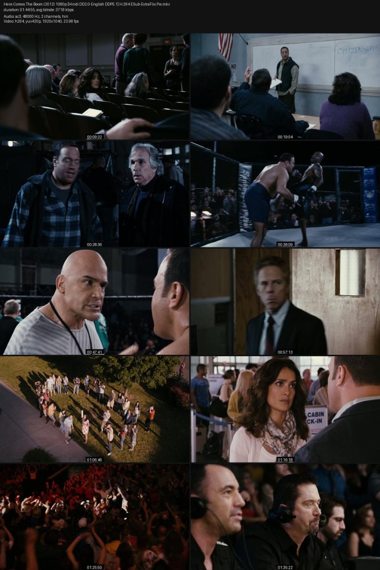 Here-Comes-The-Boom-2012-1080p-Hindi-DD2.0-English-DDP5.1-H.264-ESub-ExtraFlix.Pw.jpg