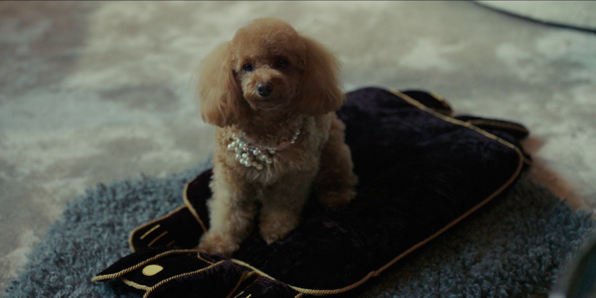 Straight to Hell Screenshot 1