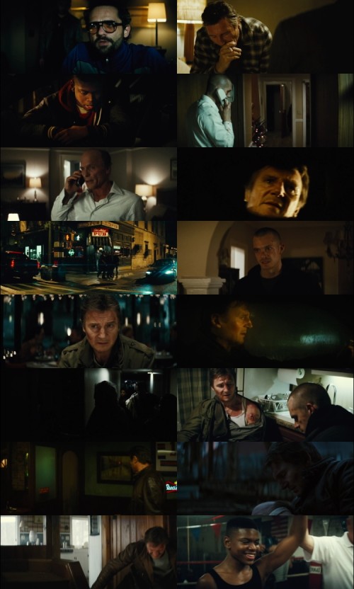 Run.All.Night.2015.1080p.BluRay.Hindi.English.DD2.0.x264.ESubs_s.jpg