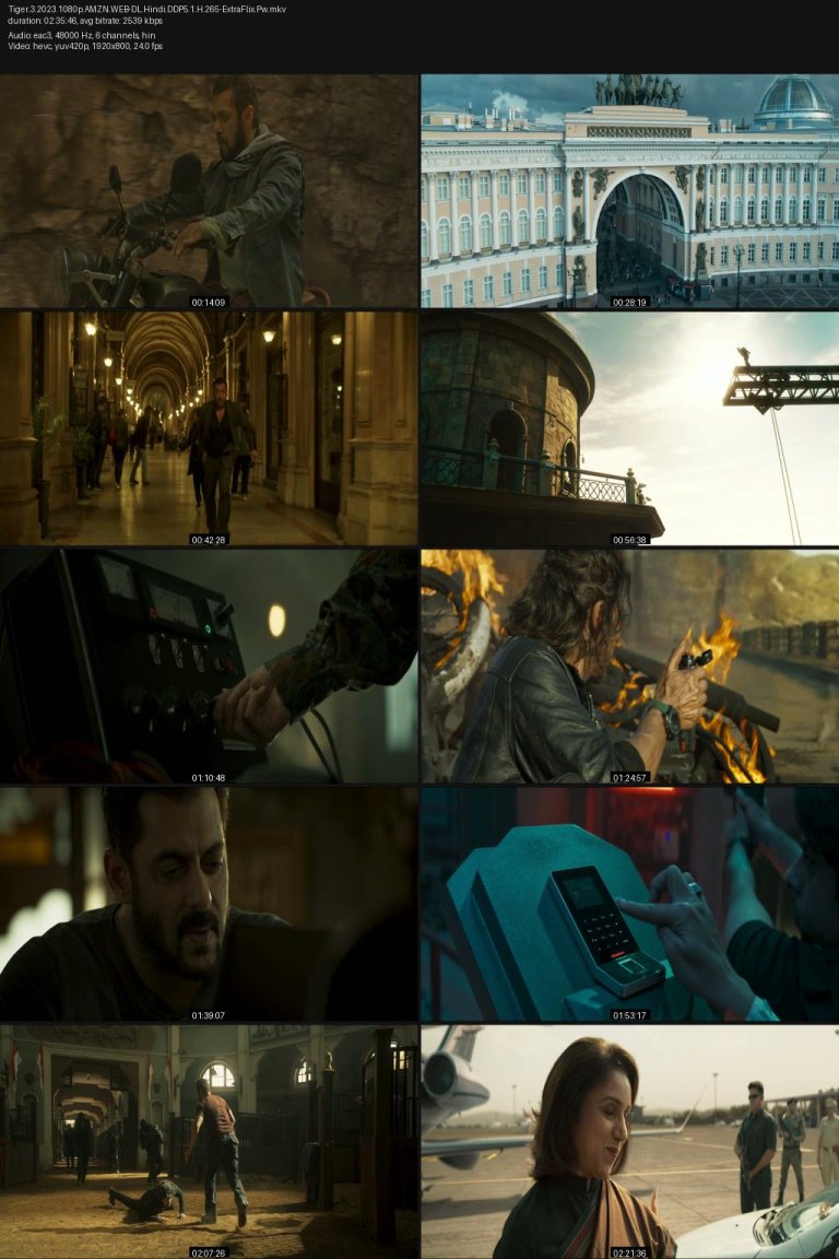 Tiger.3.2023.1080p.AMZN.WEB-DL.Hindi.DDP5.1.H.265-ExtraFlix.Pw.jpg