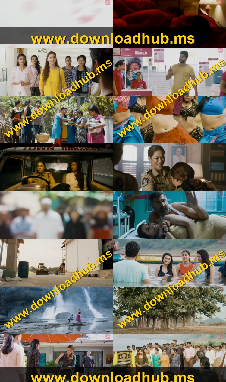 RDX Love 2019 Hindi ORG Dual Audio Movie DD5.1 1080p 720p 480p UNCUT HDRip ESubs HEVC