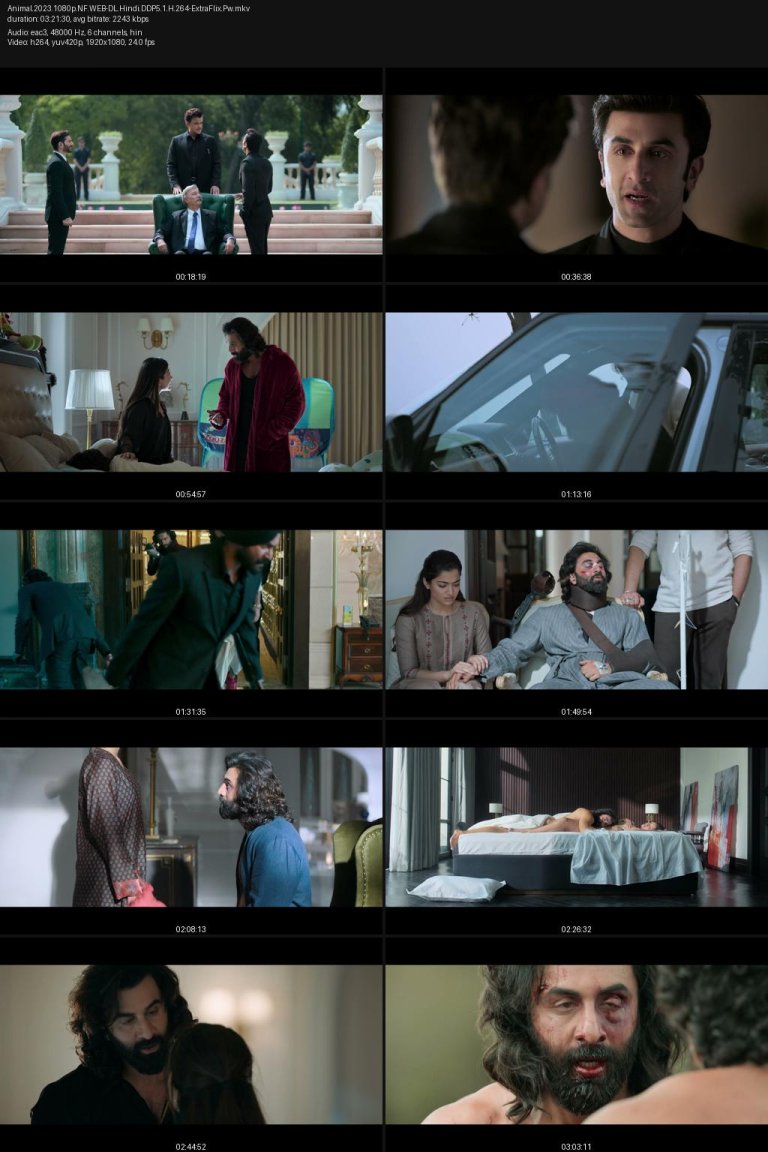 Animal.2023.1080p.NF.WEB-DL.Hindi.DDP5.1.H.264-ExtraFlix.Pw.jpg