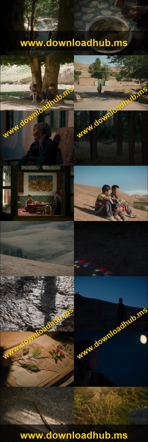 The-Botanist-2026-Hindi-ORG-Dual-Audio-www.ExtraFlix.pw-1080p-Web-DL-x264-ESubs_s.jpg