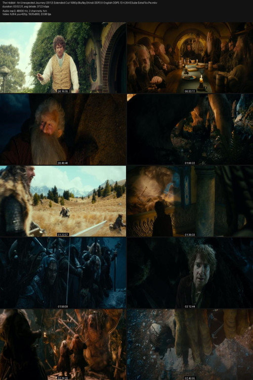The-Hobbit---An-Unexpected-Journey-2012-Extended-Cut-1080p-BluRay-Hindi-DDP2.0-English-DDP5.1-H.264-ESubs-ExtraFlix.Pw.jpg