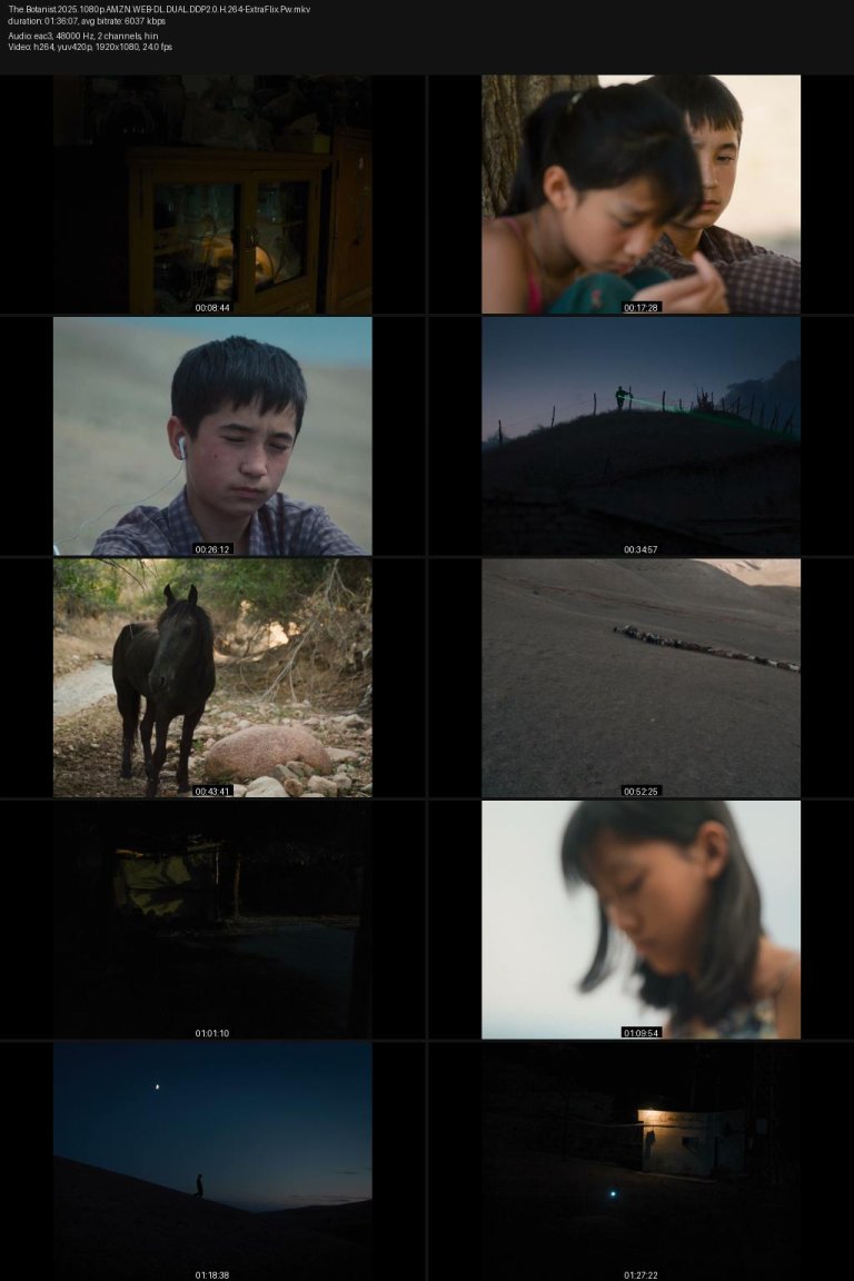 The.Botanist.2025.1080p.AMZN.WEB-DL.DUAL.DDP2.0.H.264-ExtraFlix.Pw.jpg